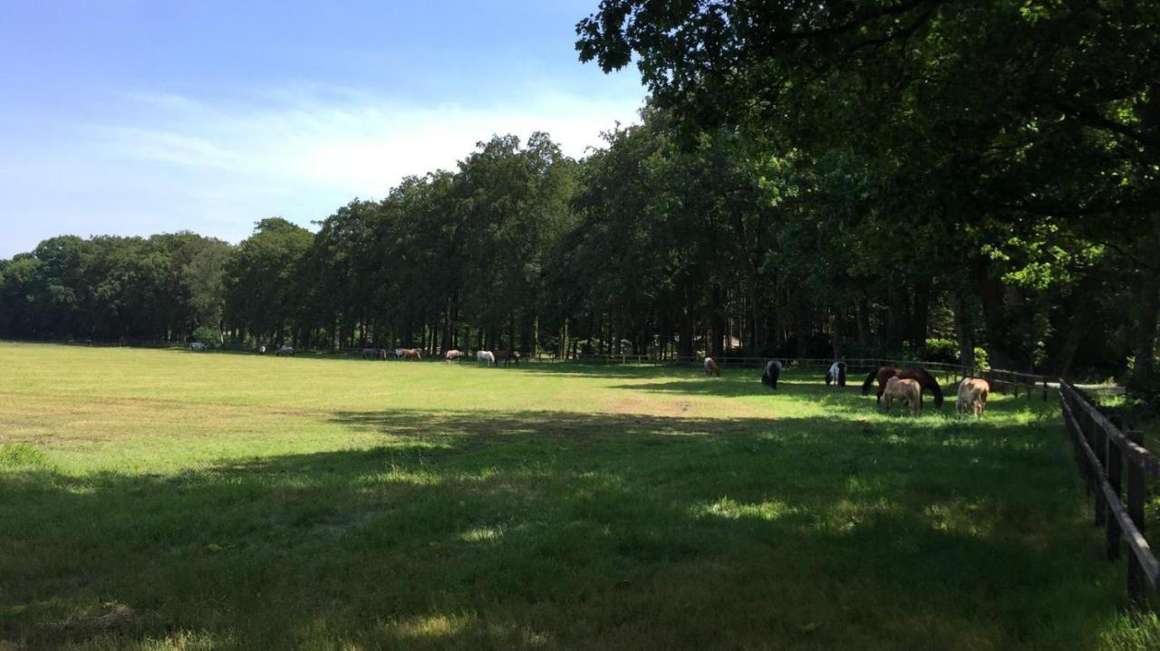 Boerderij De Enkhoeve Laag-Soeren Esterno foto