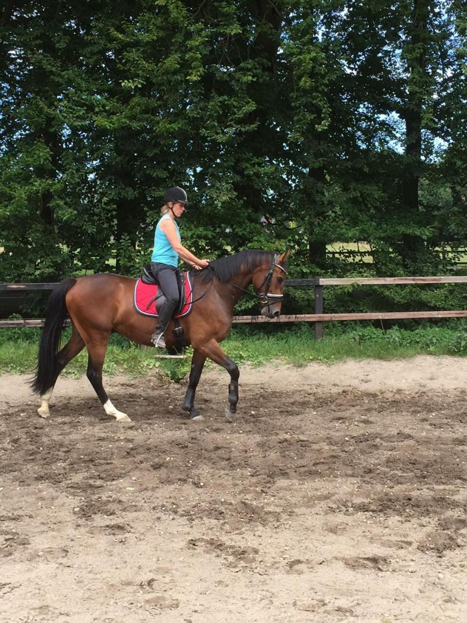 Boerderij De Enkhoeve Laag-Soeren Esterno foto