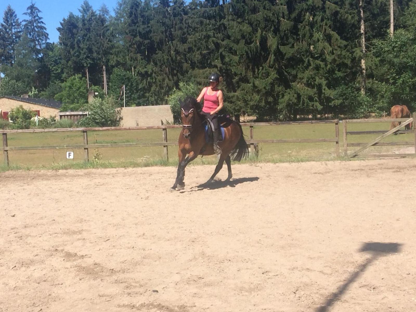 Boerderij De Enkhoeve Laag-Soeren Esterno foto